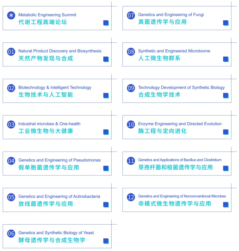 87905634_1752031548.webp
